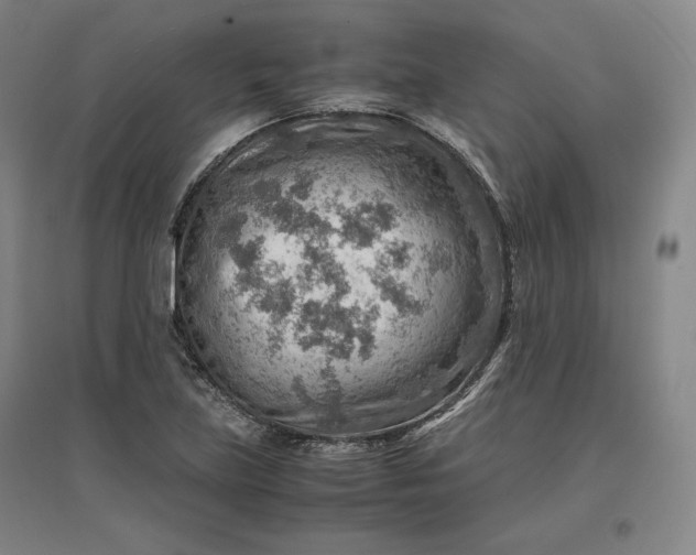 X0000096941219200802221312