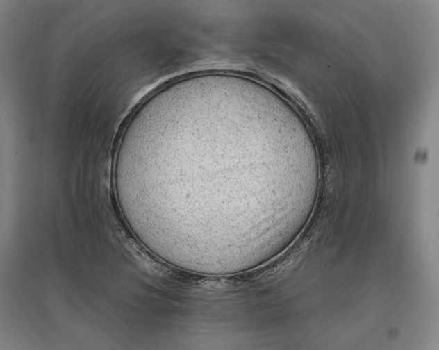 X0000096941220200802221312