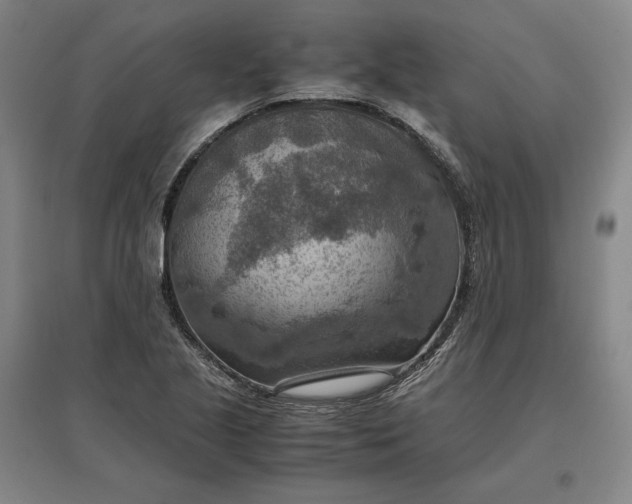 X0000096941221200802221312