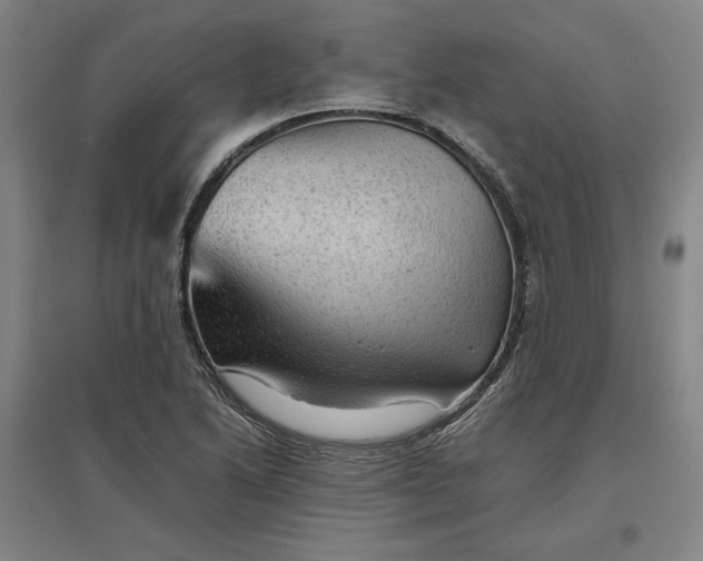 X0000096941222200802221312