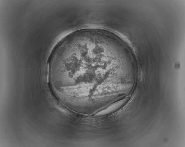 X0000096941223200802221312