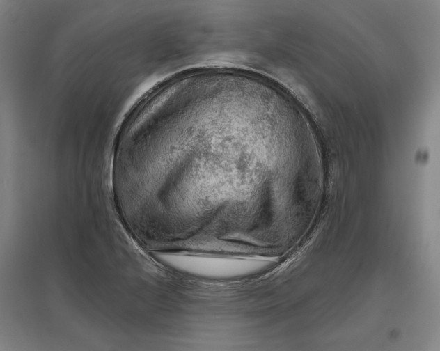 X0000096941224200802221312