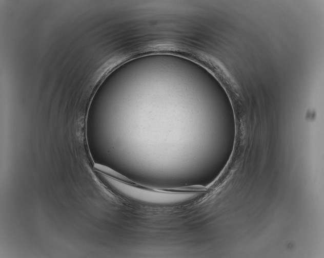 X0000096941225200802221312