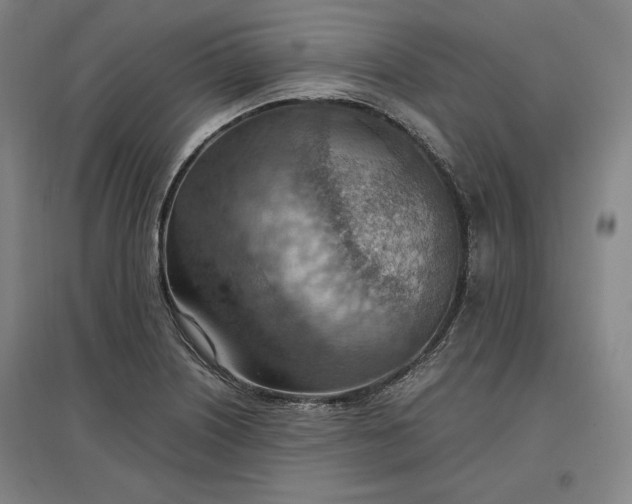 X0000096941226200802221312