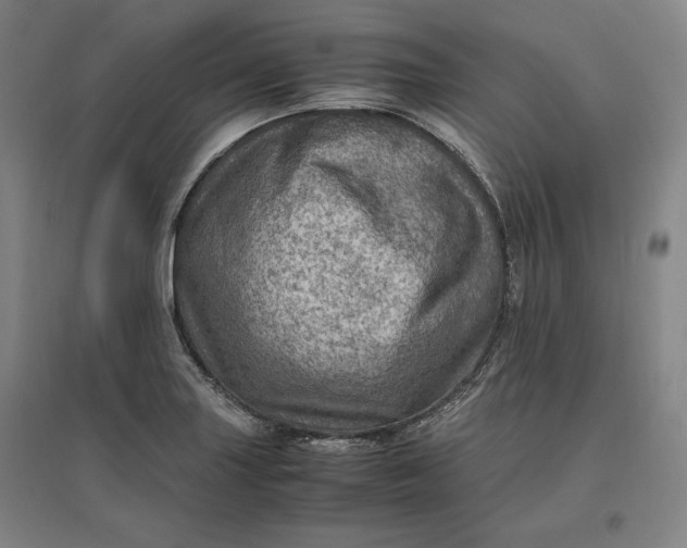 X0000096941227200802221312