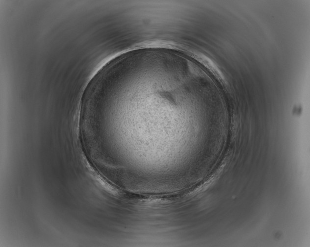 X0000096941228200802221312