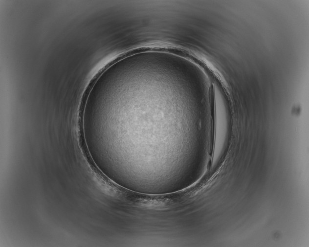 X0000096941229200802221312