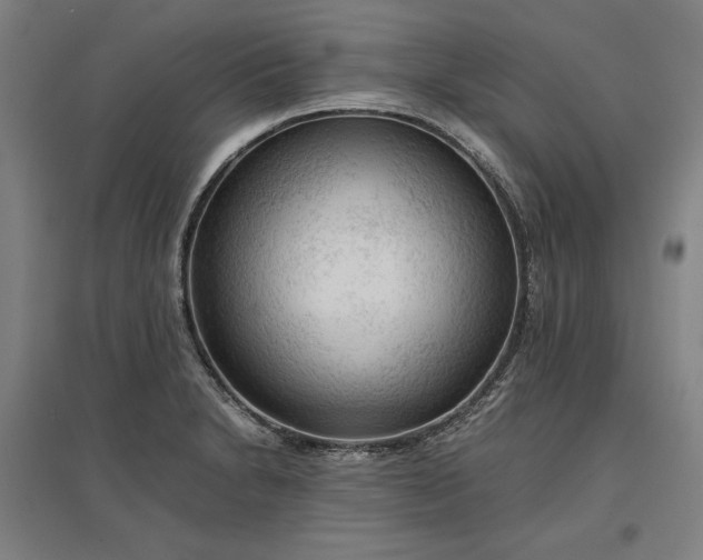 X0000096941230200802221312