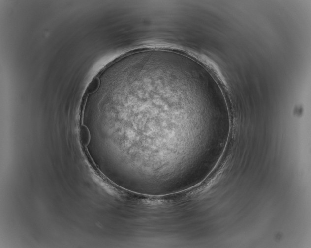 X0000096941231200802221312