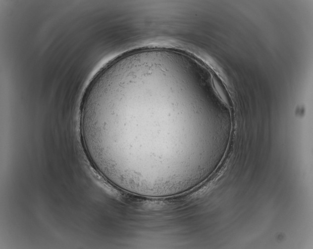 X0000096941232200802221312