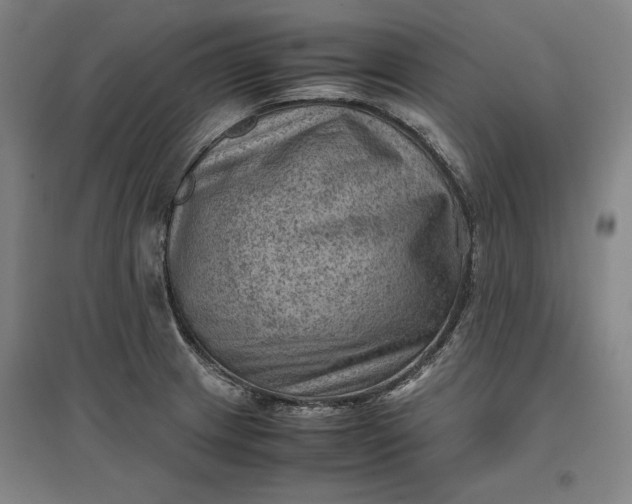 X0000096941233200802221312