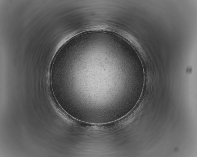 X0000096941234200802221312