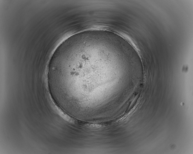 X0000096941235200802221313