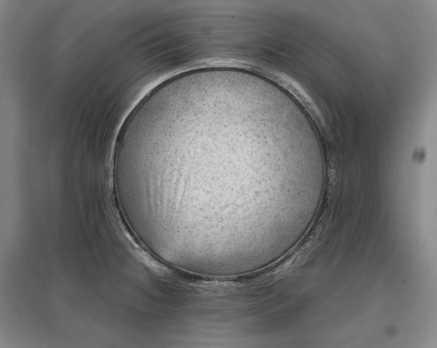 X0000096941236200802221313