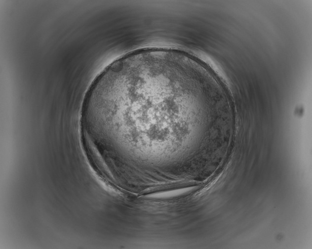 X0000096941237200802221313