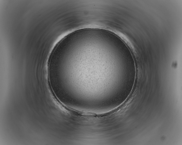 X0000096941238200802221313