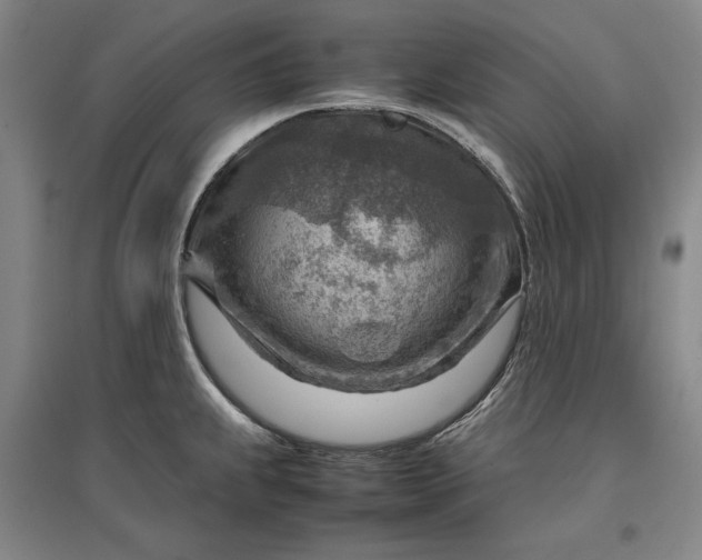 X0000096941239200802221313