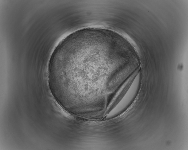 X0000096941240200802221313