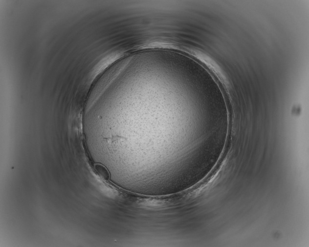 X0000096941241200802221313