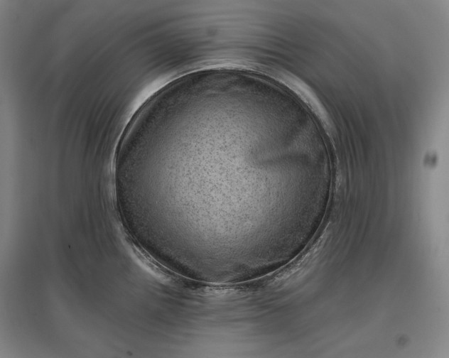 X0000096941242200802221313