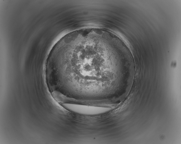 X0000096941243200802221313