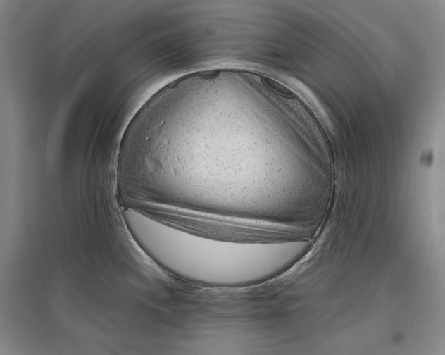 X0000096941244200802221313