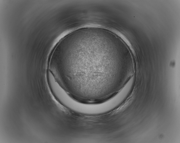 X0000096941245200802221313