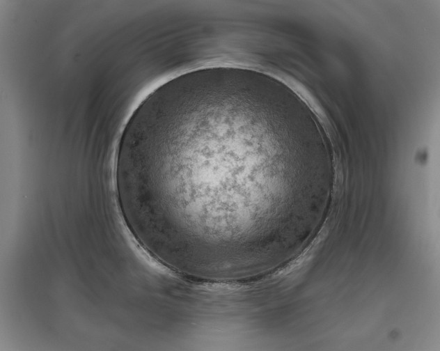 X0000096941246200802221313