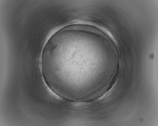 X0000096941247200802221313