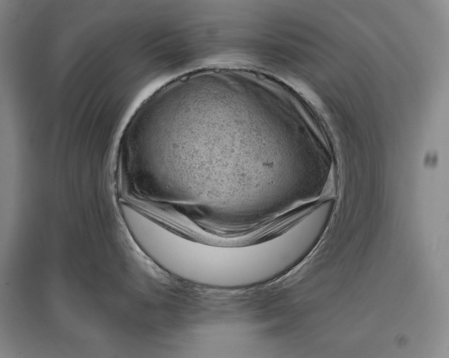 X0000096941248200802221313