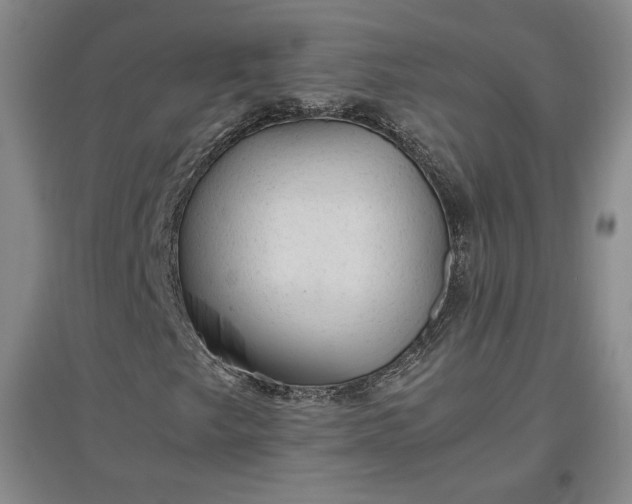 X0000096941249200802221312