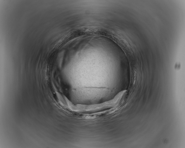 X0000096941250200802221312