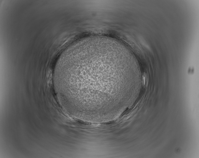 X0000096941251200802221312