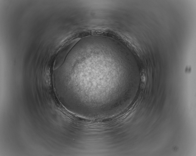 X0000096941252200802221312