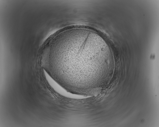 X0000096941255200802221312