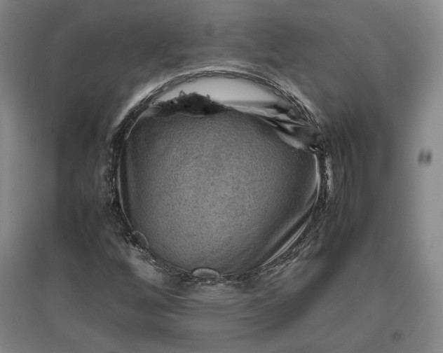 X0000096941256200802221312