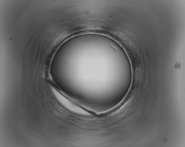 X0000096941257200802221312