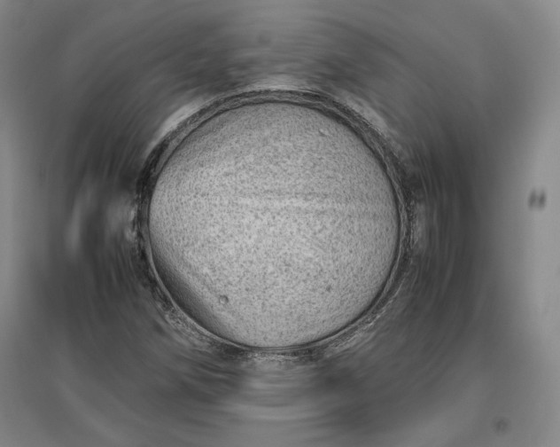 X0000096941258200802221312