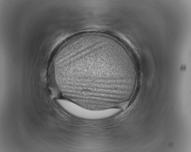 X0000096941259200802221312