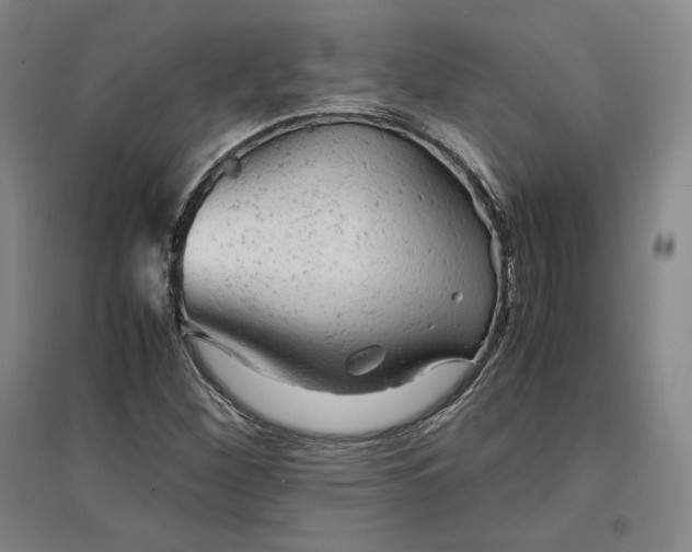 X0000096941260200802221312