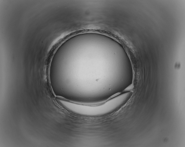 X0000096941262200802221312