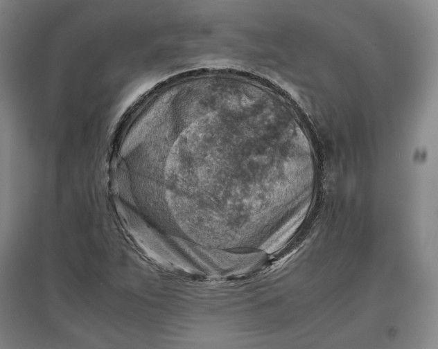 X0000096941263200802221312