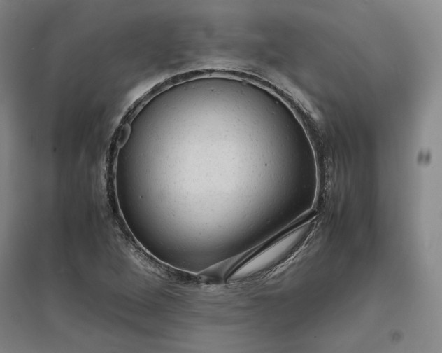 X0000096941264200802221312