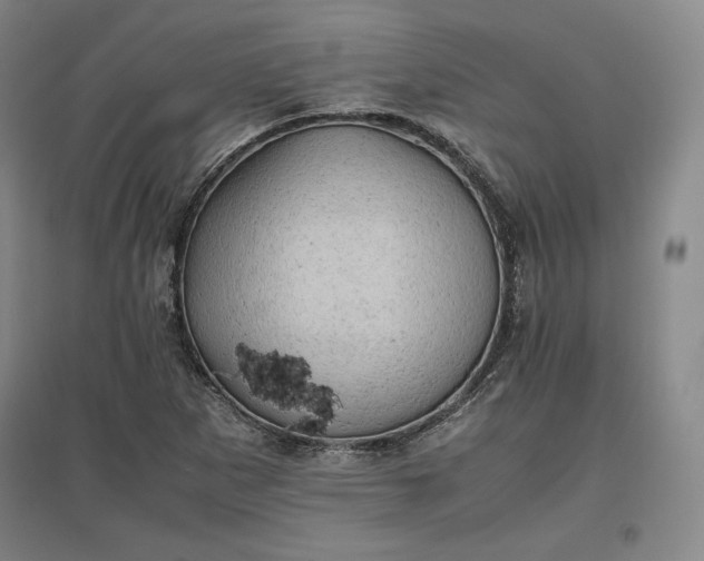 X0000096941265200802221312