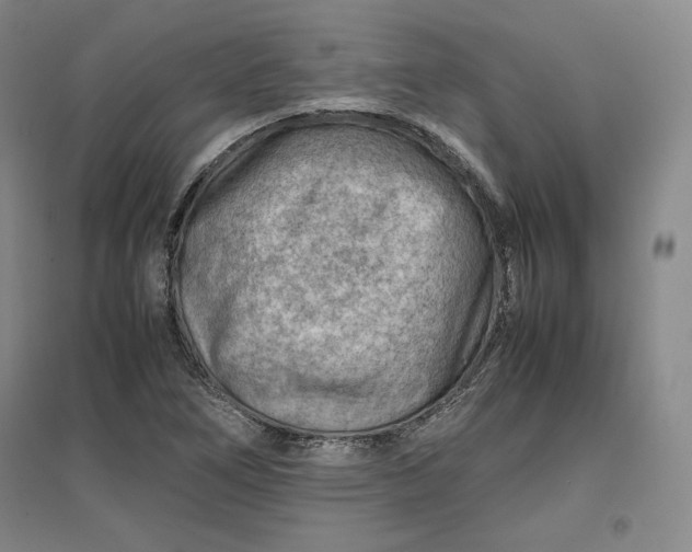 X0000096941266200802221312