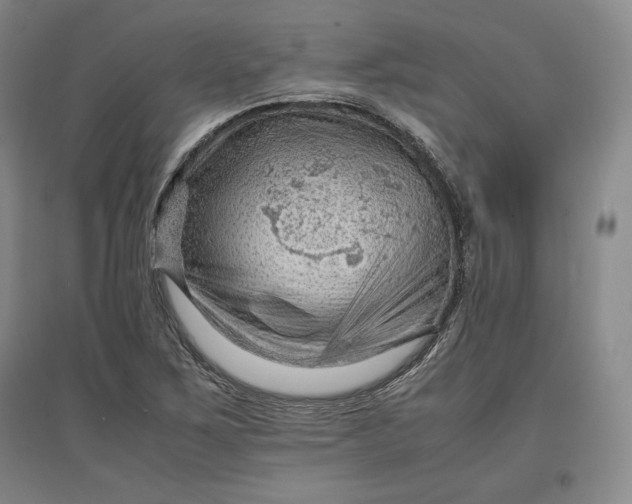 X0000096941267200802221312