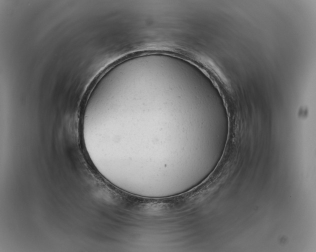 X0000096941268200802221312