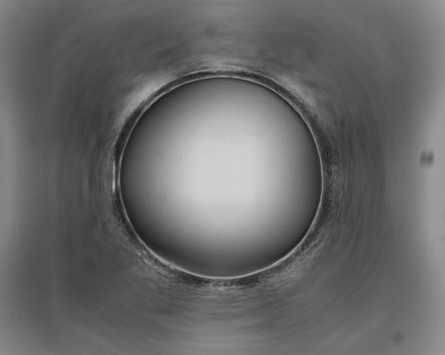 X0000096941269200802221312