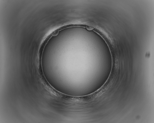 X0000096941270200802221312