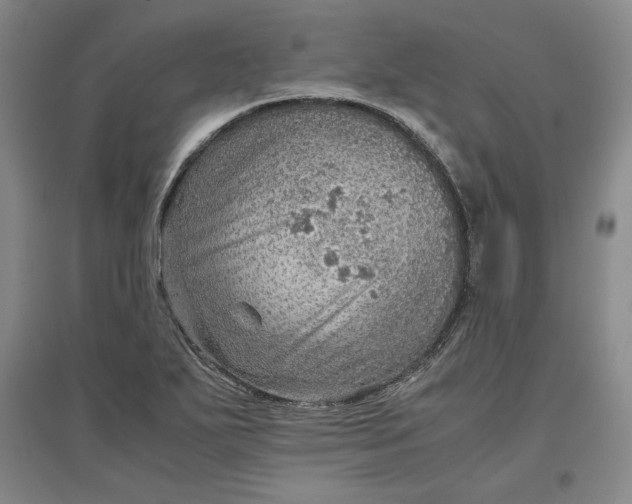 X0000096941271200802221312